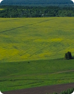 Линия фотосепарации